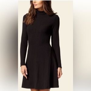 Zara Brown Ribbed Knit Turtleneck Skater Dress